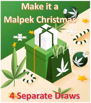 Malpek’s Christmas Draws -December 1, December 23, 2024