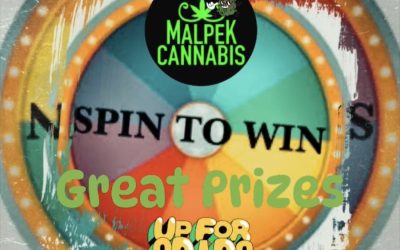 Malpek’s SPIN to WIN August 2024